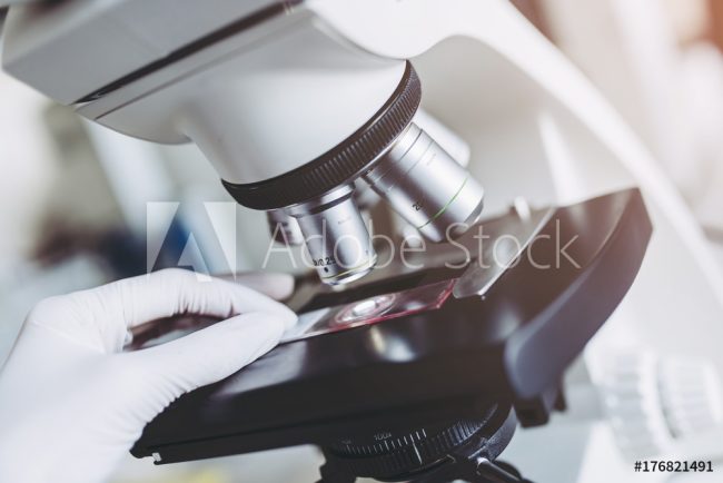 AdobeStock_176821491_Preview