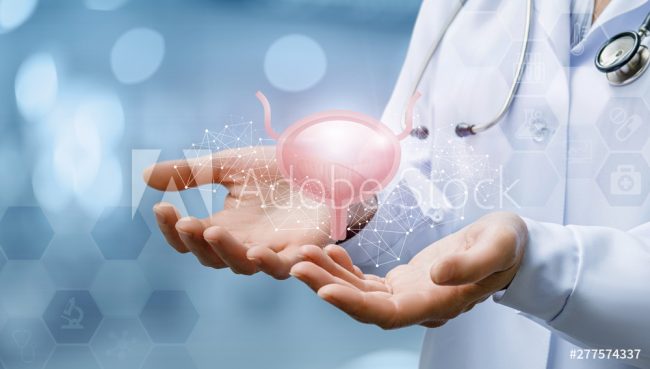 AdobeStock_277574337_Preview